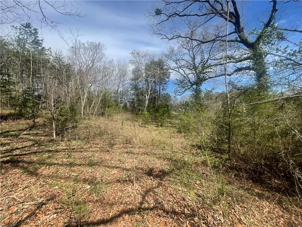 $40,000 | 0 Charlie Mitchell Road, Walhalla, SC 29691