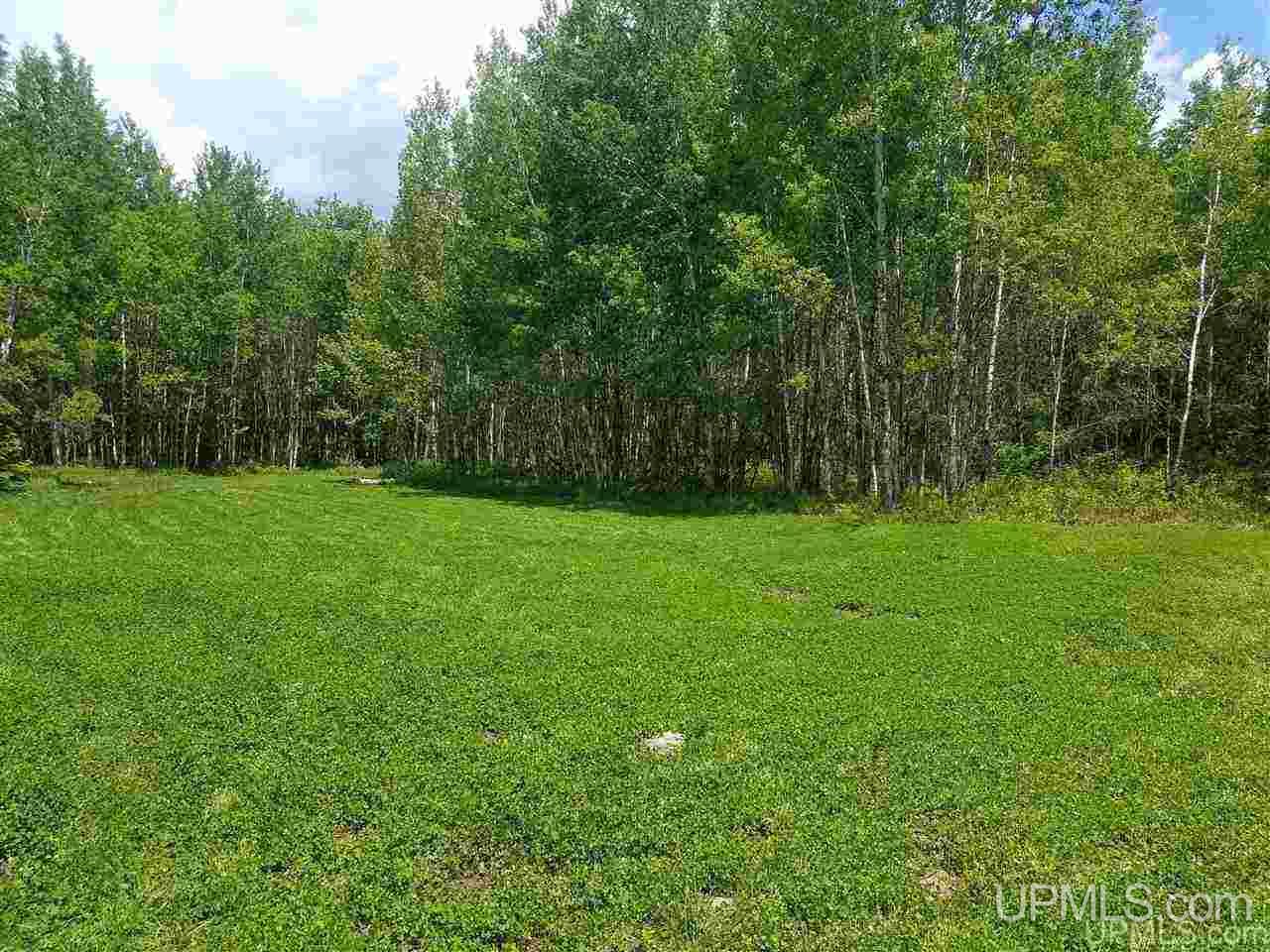 40-ac Parks Farm Road Iron River, MI 49935 - Photo 19 of 20