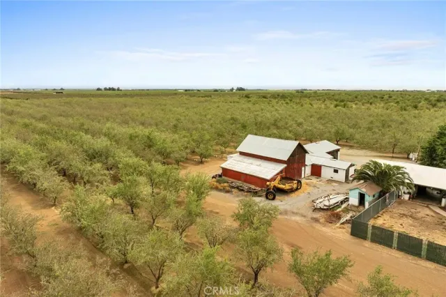 a street view with large trees