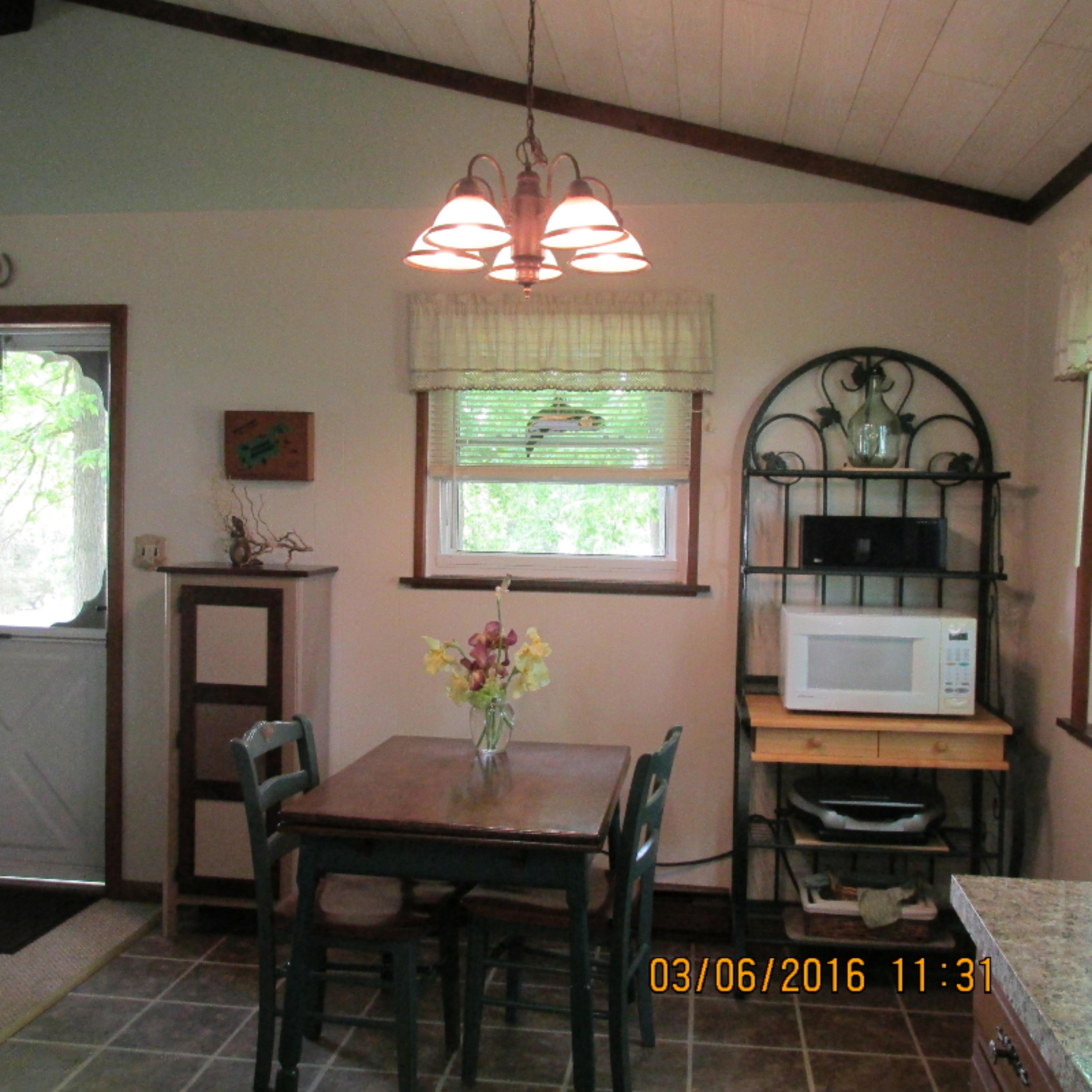 535 East Southern Road Coldwater, MI 49036 - Photo 3 of 7 Pope Connie 012