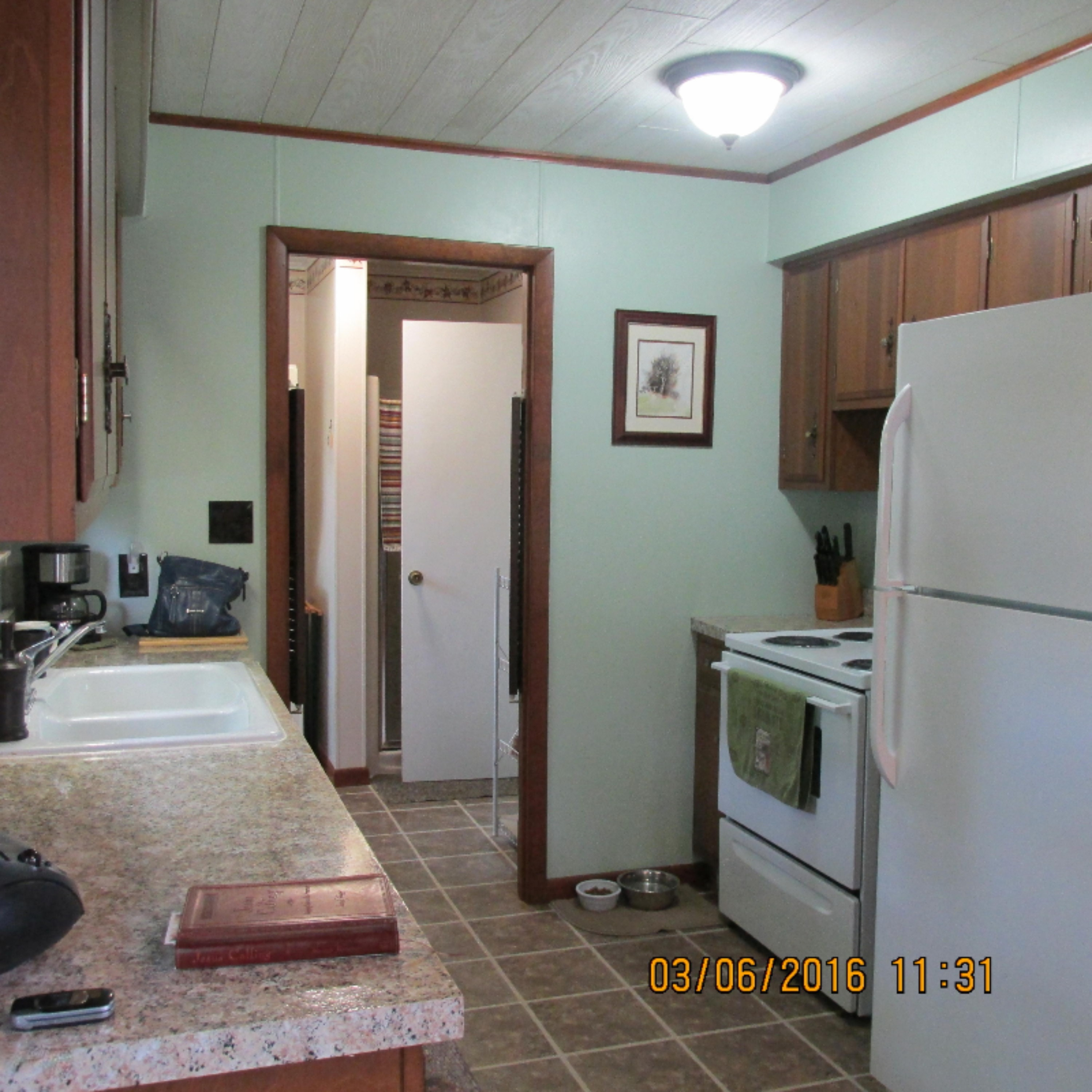 535 East Southern Road Coldwater, MI 49036 - Photo 4 of 7 Pope Connie 013