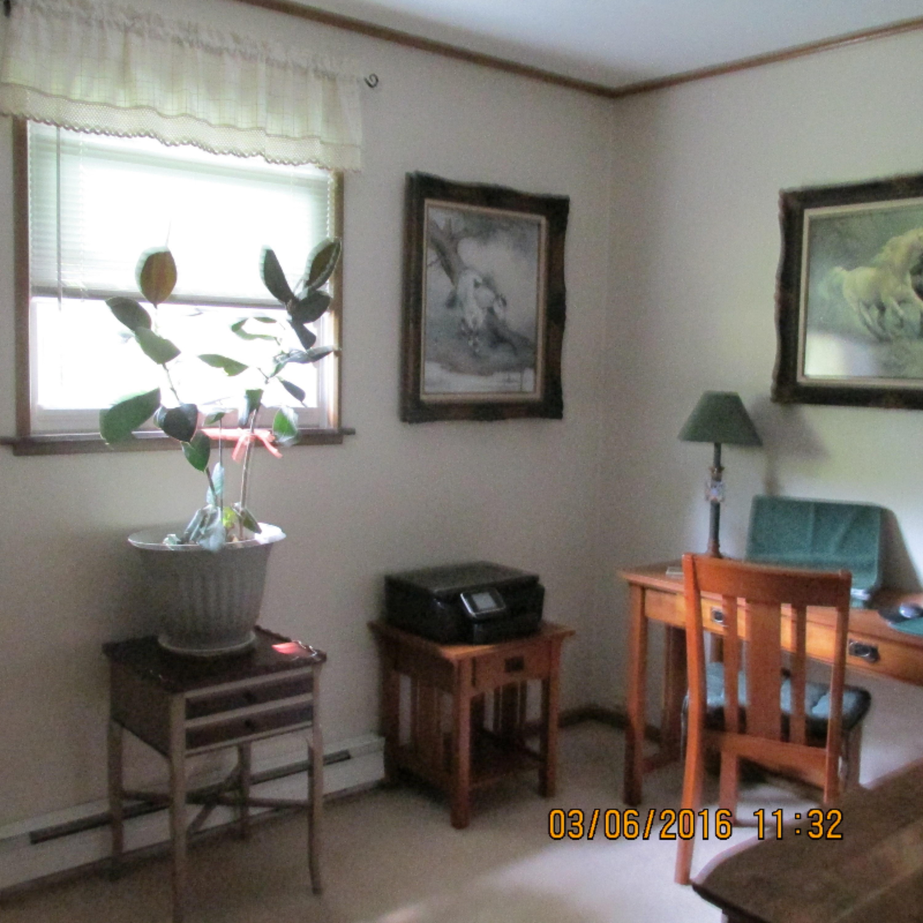 535 East Southern Road Coldwater, MI 49036 - Photo 5 of 7 Pope Connie 015