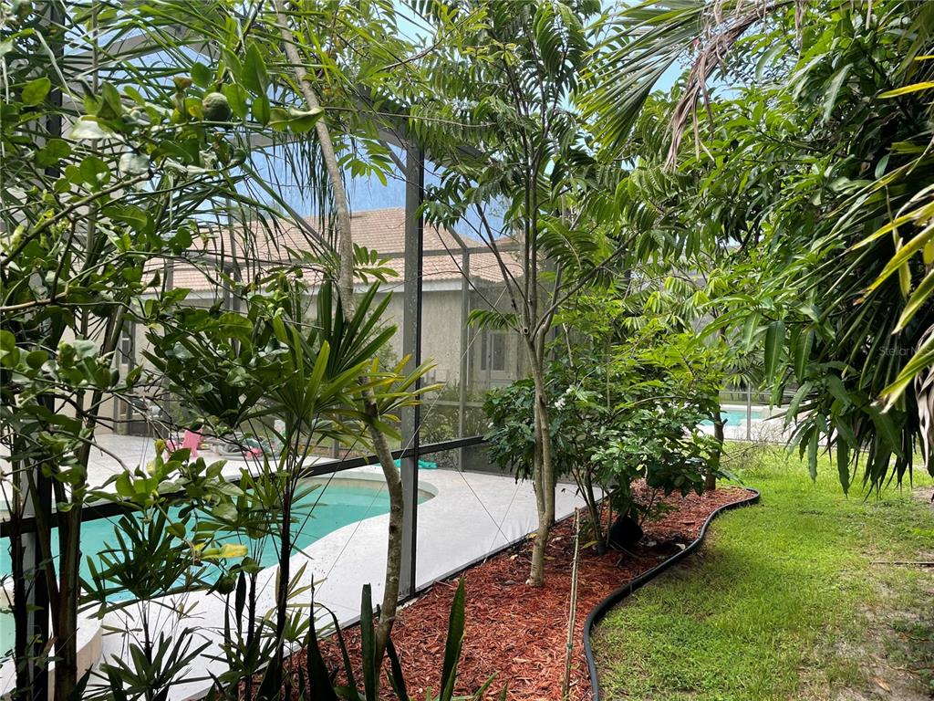 759 Fordingbridge Way Osprey, FL 34229 - Photo 49 of 51 a backyard of a house with a garden and plants
