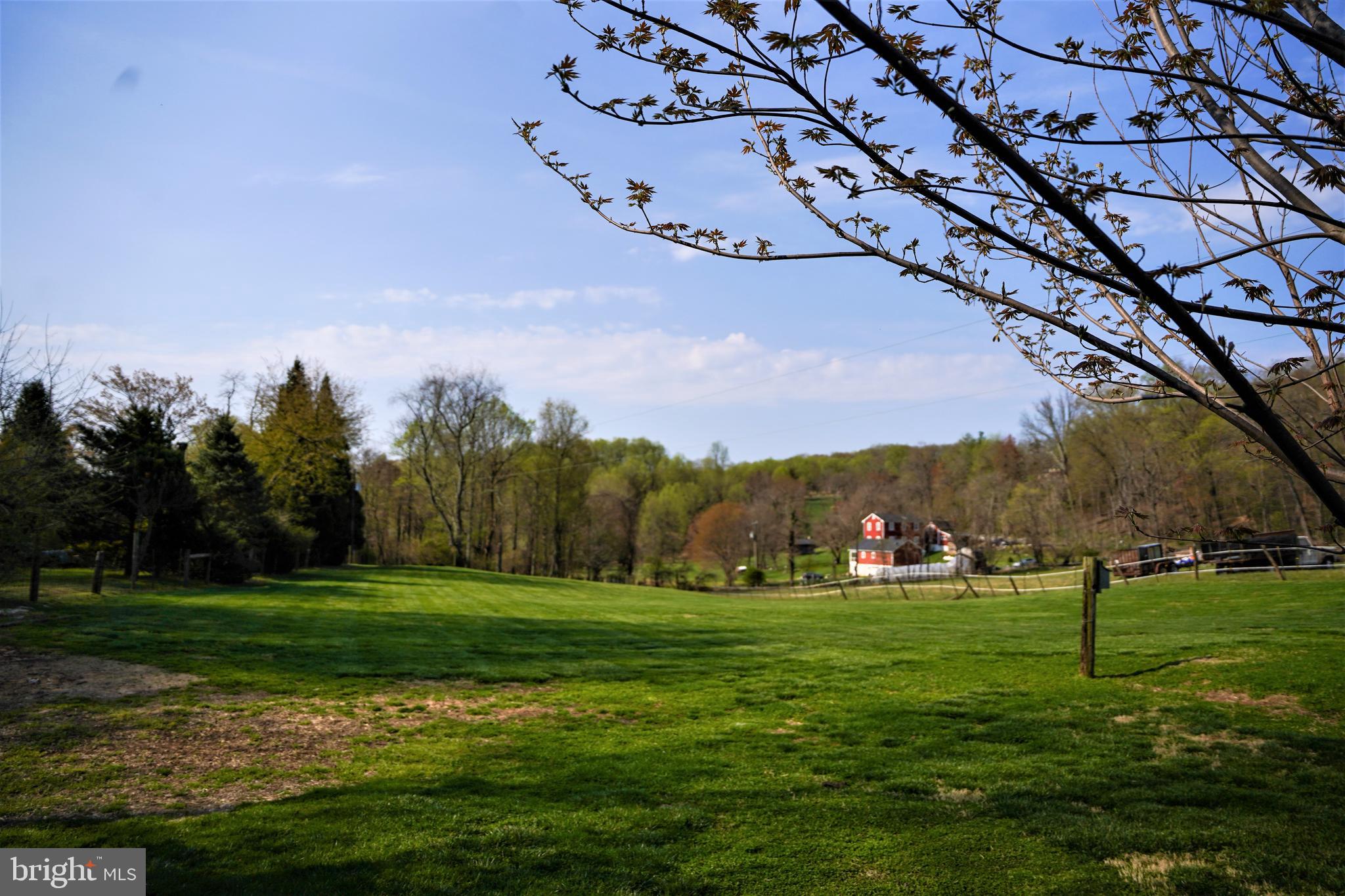 13548 Wilt Store Road Leesburg, VA 20176 - Photo 18 of 23 View of 1 Acre Back Lot - Stunning