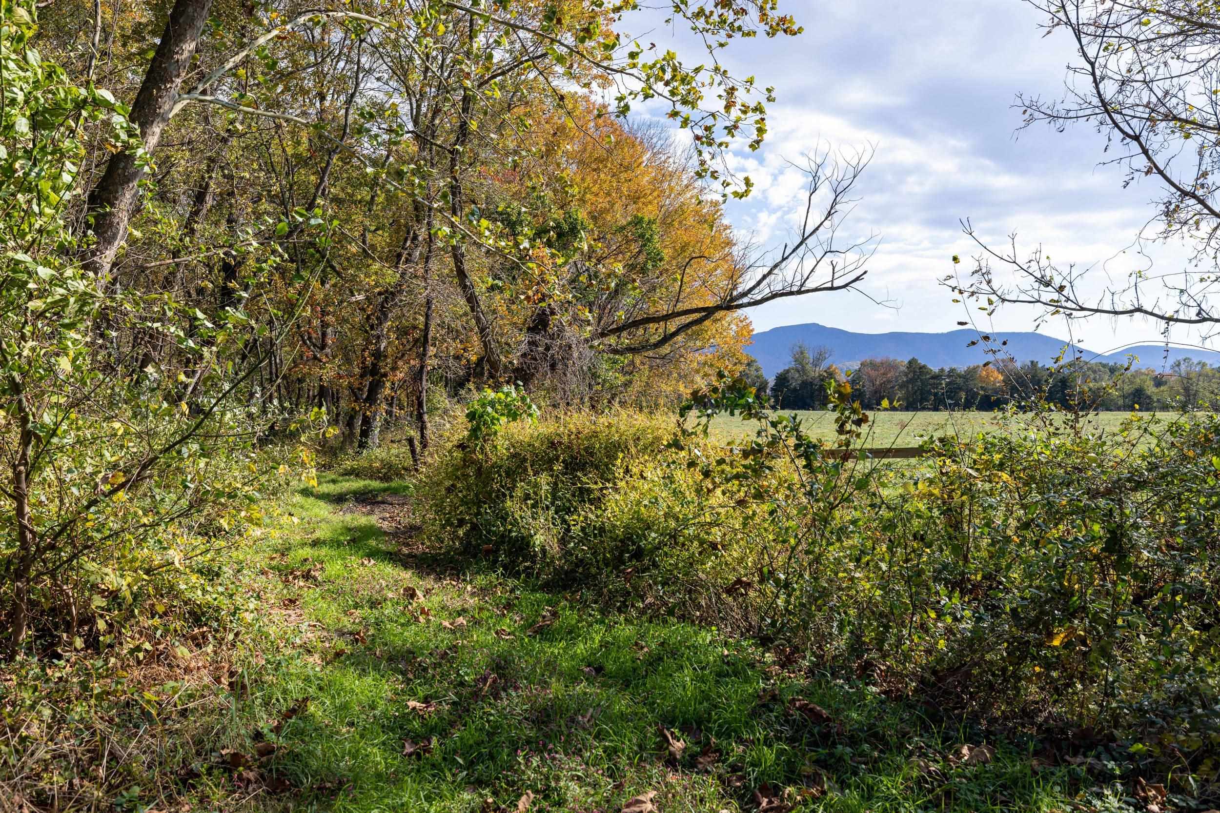 Off Dry Run Road Luray, VA 22835 - Photo 69 of 73 Gallery Image 69