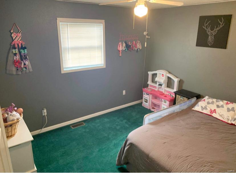 317 Rutledge Street Worden, IL 62097 - Photo 13 of 22 Gallery Image 13