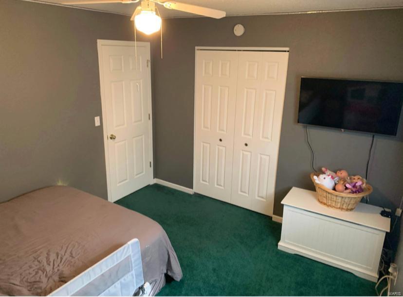 317 Rutledge Street Worden, IL 62097 - Photo 14 of 22 Gallery Image 14