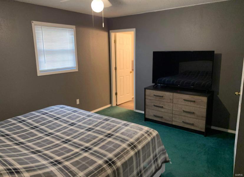317 Rutledge Street Worden, IL 62097 - Photo 10 of 22 Gallery Image 10