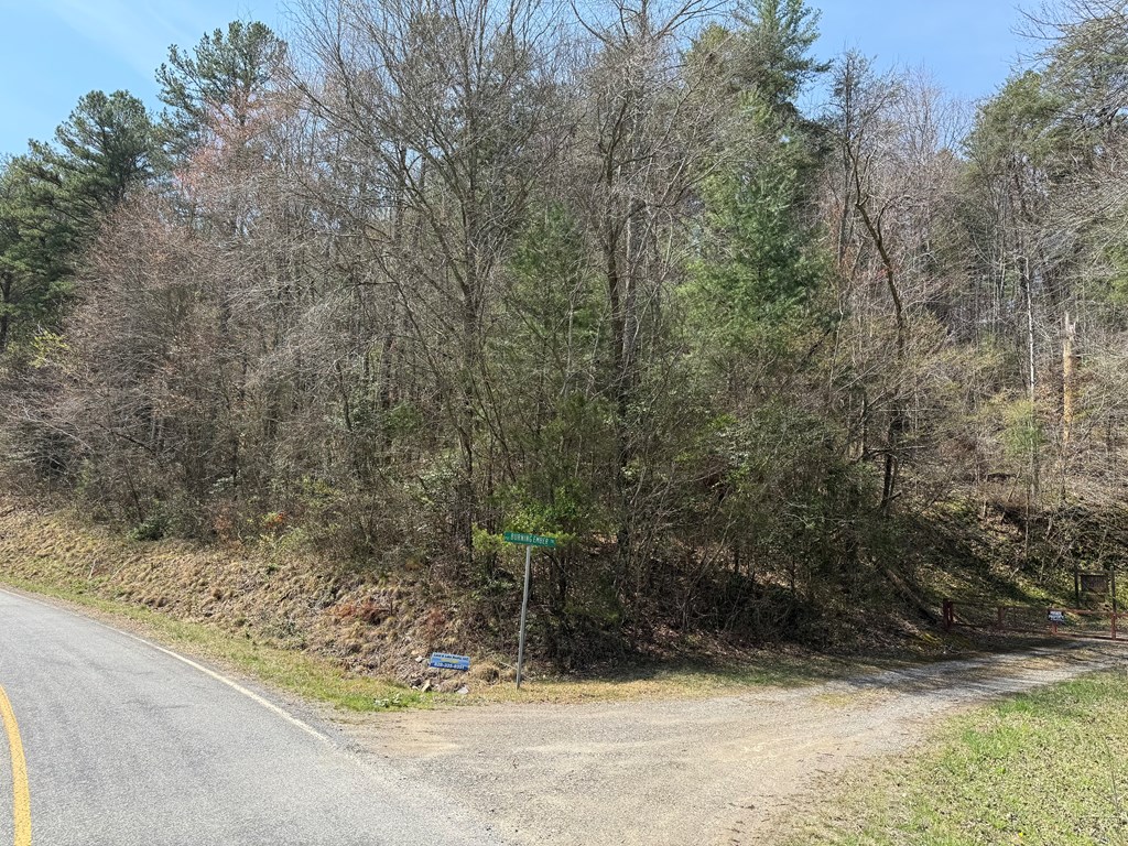 0 Morrow Road Murphy, NC 28906 - Photo 2 of 3
