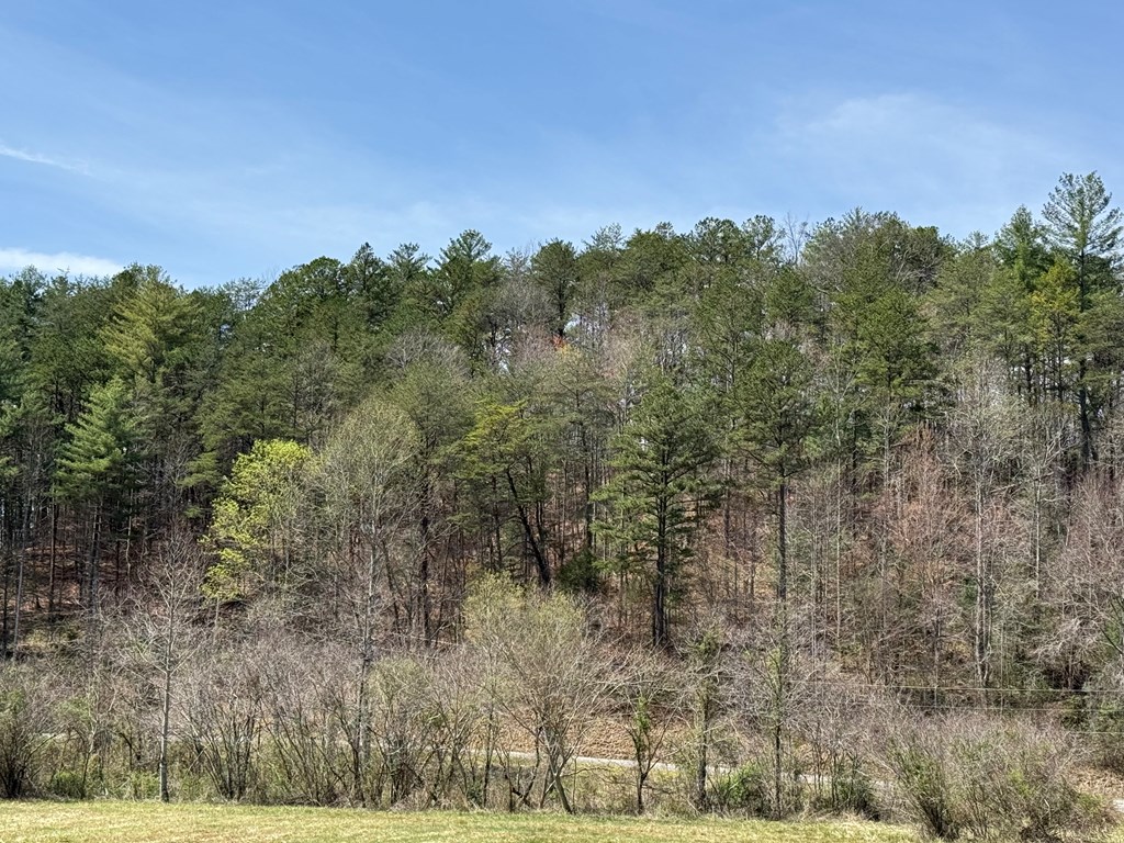 0 Morrow Road Murphy, NC 28906 - Photo 3 of 3