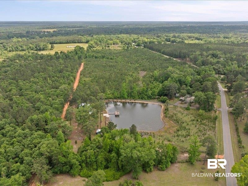 3160 Old Castleberry Road Brewton, AL 36426 - Photo 34 of 36 Expansive property featuring a private pond with a dock, established trees, a paved road frontage, an unpaved access road, and a distant clearing