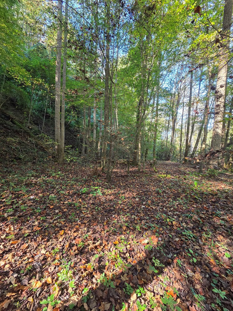 0 Lords Way Andrews, NC 28901 - Photo 5 of 14