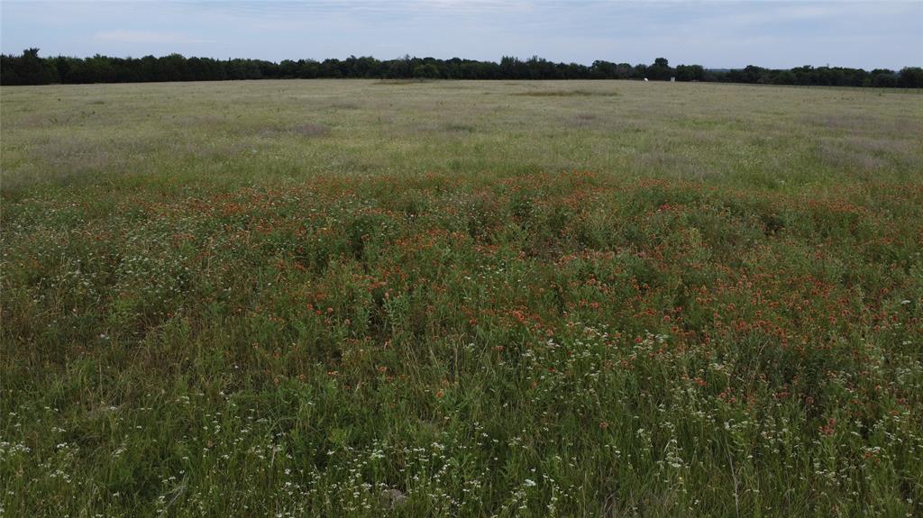 0 South Hampton Road Red Oak, TX 75154 - Photo 14 of 15