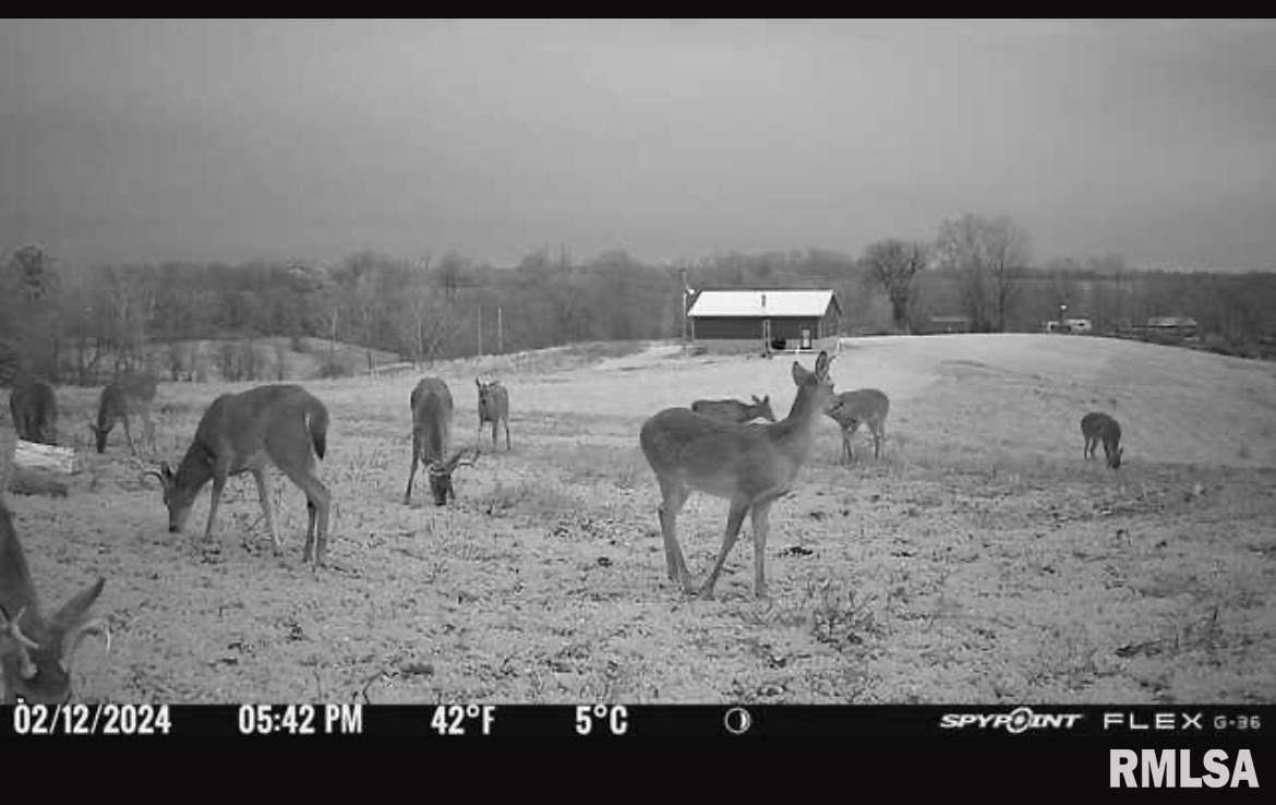 1770 Aldridge Road Cobden, IL 62920 - Photo 44 of 71
