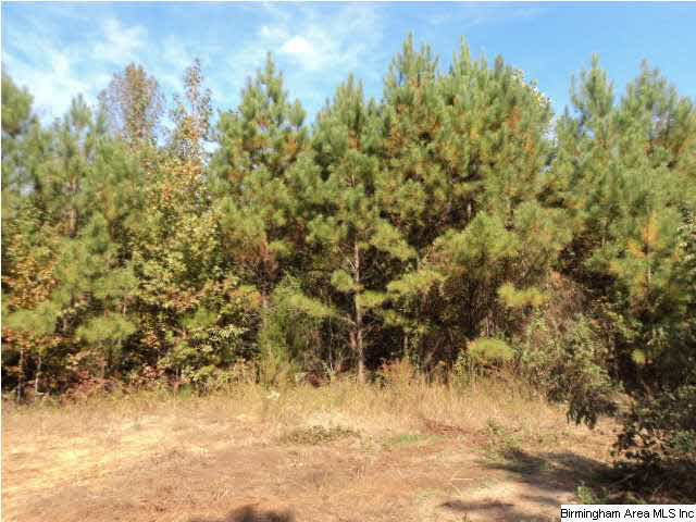 Blakes Ferry Road, Unit 77 Lineville, AL 36266 - Photo 9 of 18 Gallery Image 9