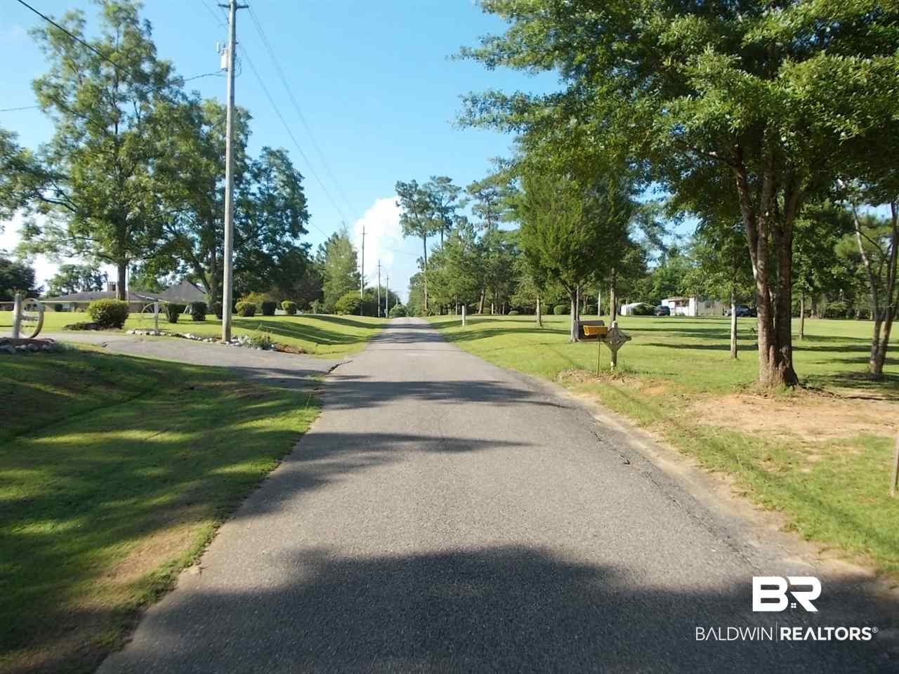 0 Ernest Patterson Road Robertsdale, AL 36567 - Photo 6 of 14