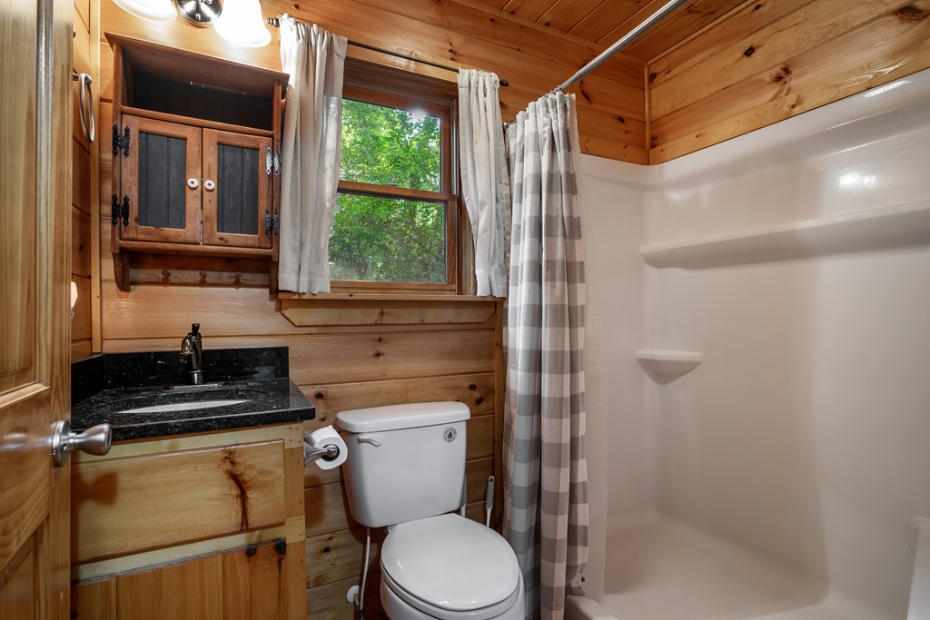 105 Lemon Drop Lane Murphy, NC 28906 - Photo 11 of 24