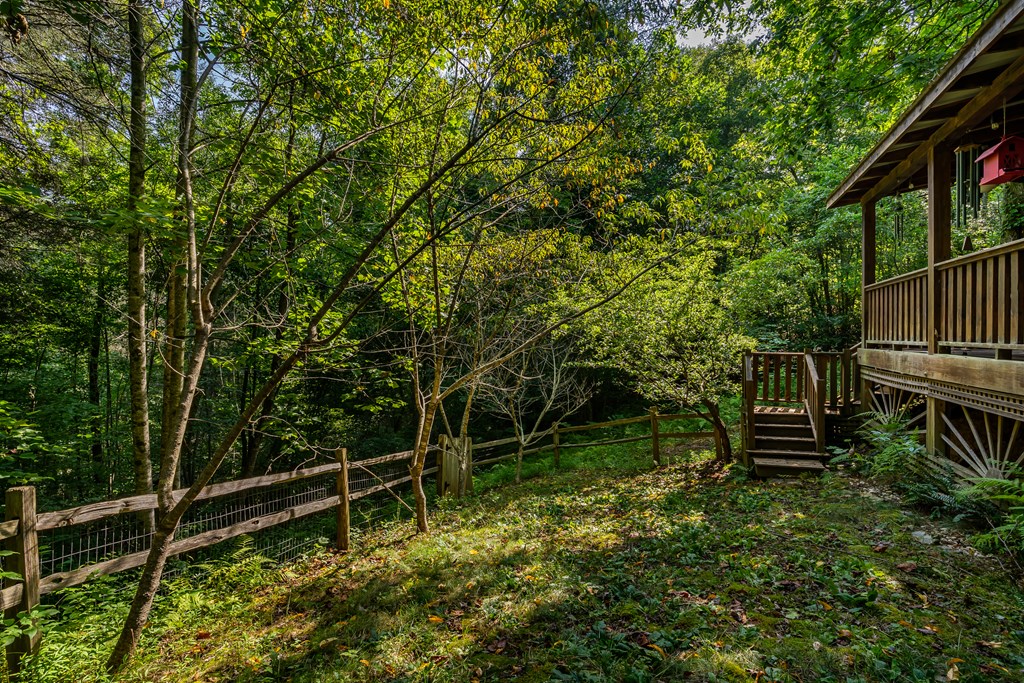 105 Lemon Drop Lane Murphy, NC 28906 - Photo 18 of 24