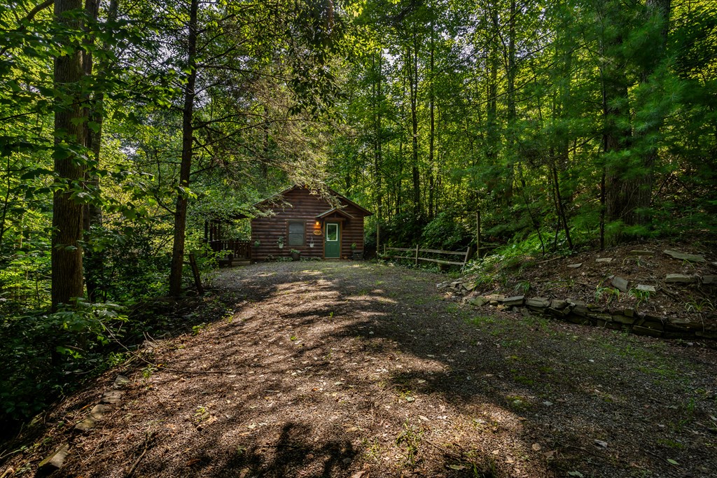 105 Lemon Drop Lane Murphy, NC 28906 - Photo 19 of 24