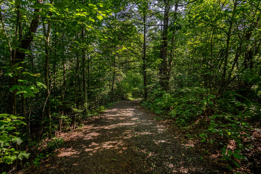 105 Lemon Drop Lane Murphy, NC 28906 - Photo 23 of 24