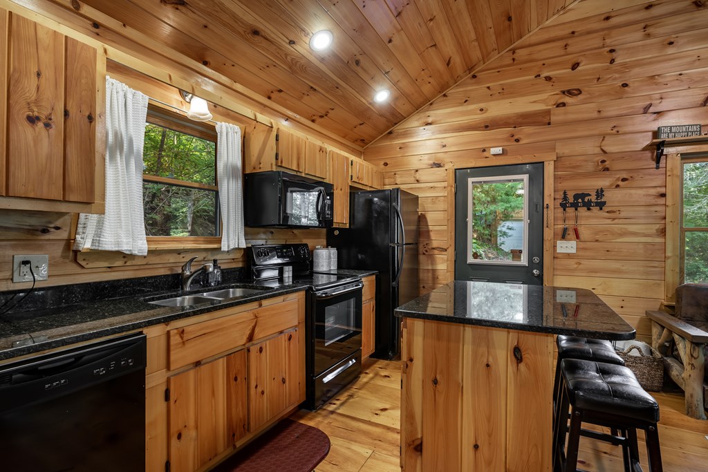 105 Lemon Drop Lane Murphy, NC 28906 - Photo 7 of 24