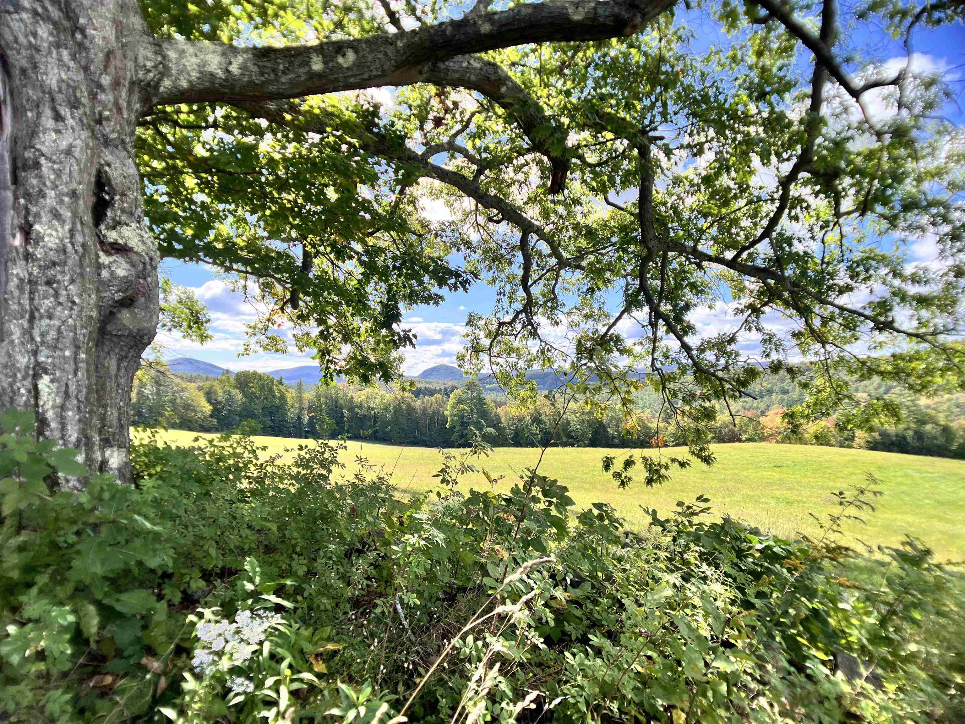 575 Somers Road Peacham, VT 05821 - Photo 6 of 52 Gallery Image 6