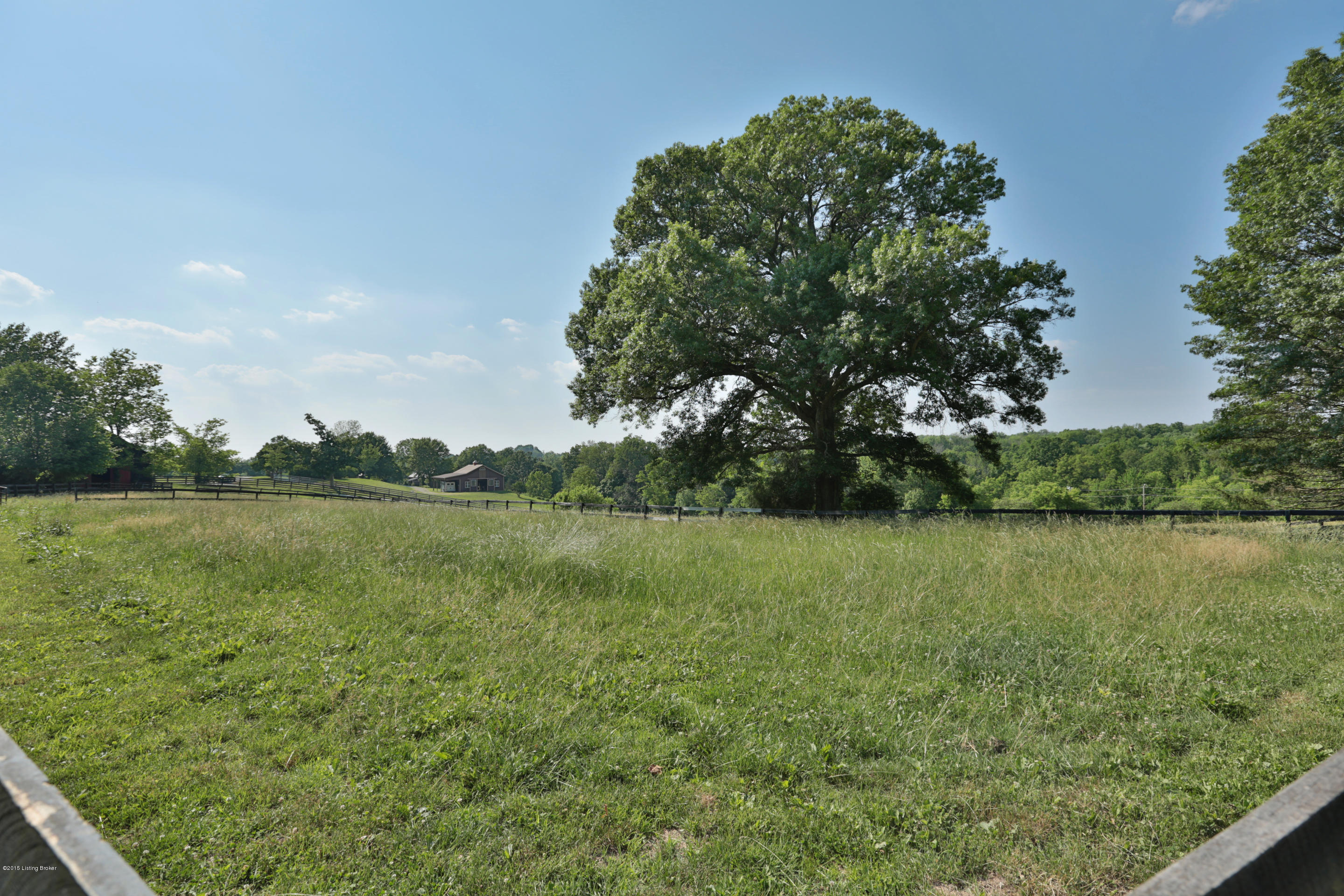 2550 Webb Road Simpsonville, KY 40067 - Photo 55 of 61 Front-Field2