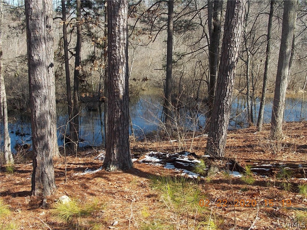 3317 Birdsong Road Ebony, VA 23845 - Photo 6 of 29 Gallery Image 6