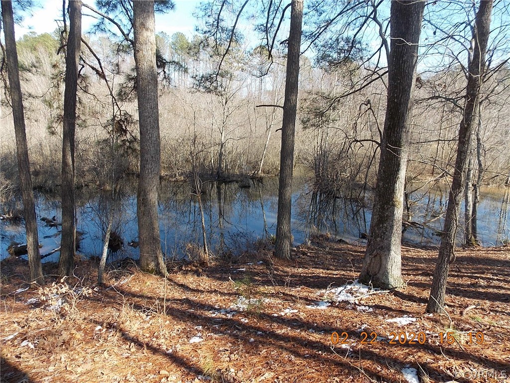 3317 Birdsong Road Ebony, VA 23845 - Photo 7 of 29 Gallery Image 7