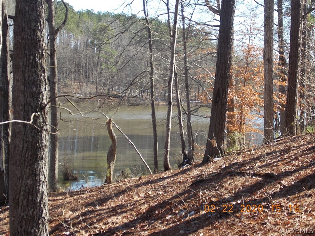 3317 Birdsong Road Ebony, VA 23845 - Photo 8 of 29 Gallery Image 8