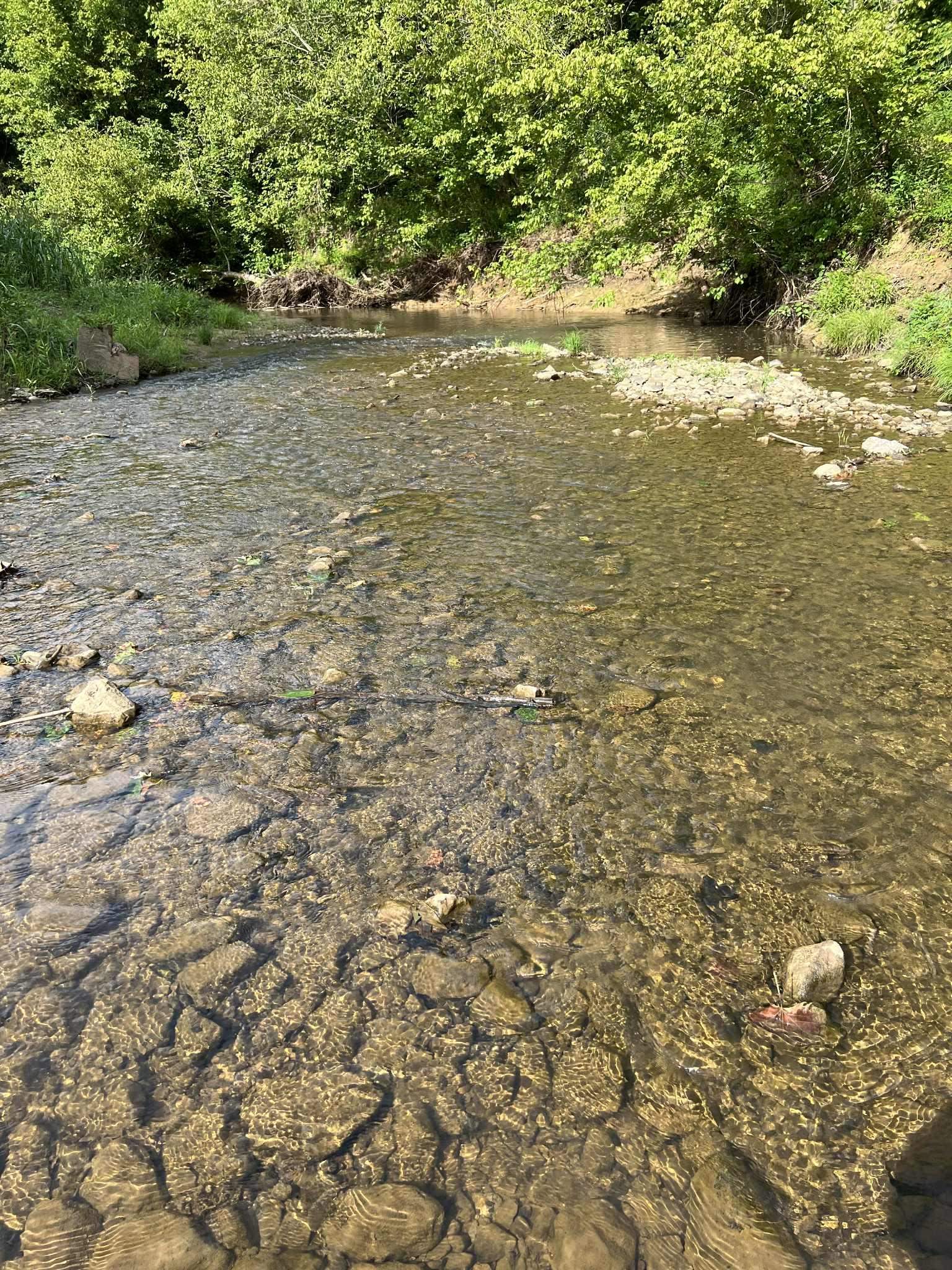 0 Tate Hollow Road Louisa, KY 41230 - Photo 25 of 50