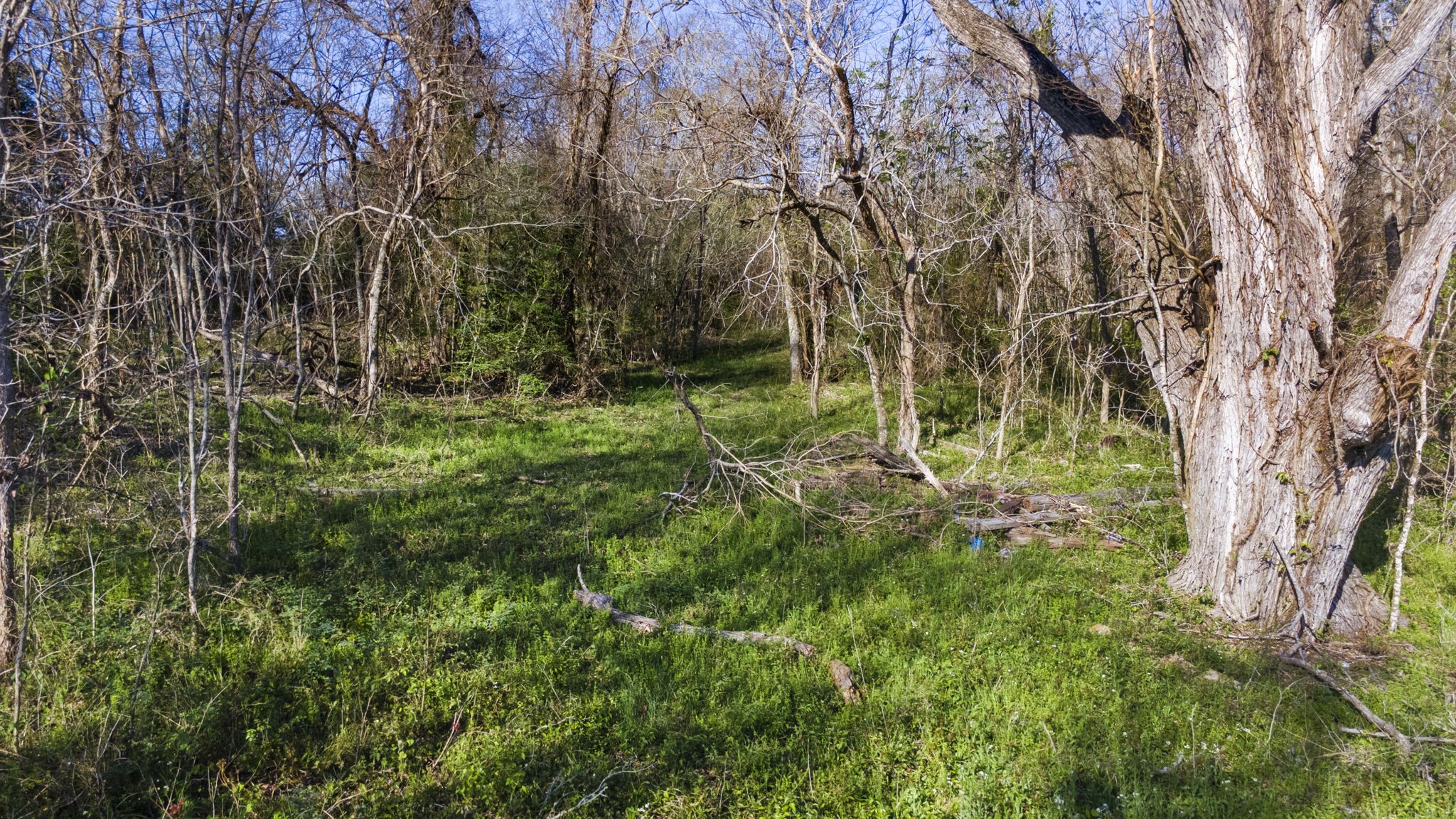 3979 Felder Road Washington, TX 77880 - Photo 10 of 14