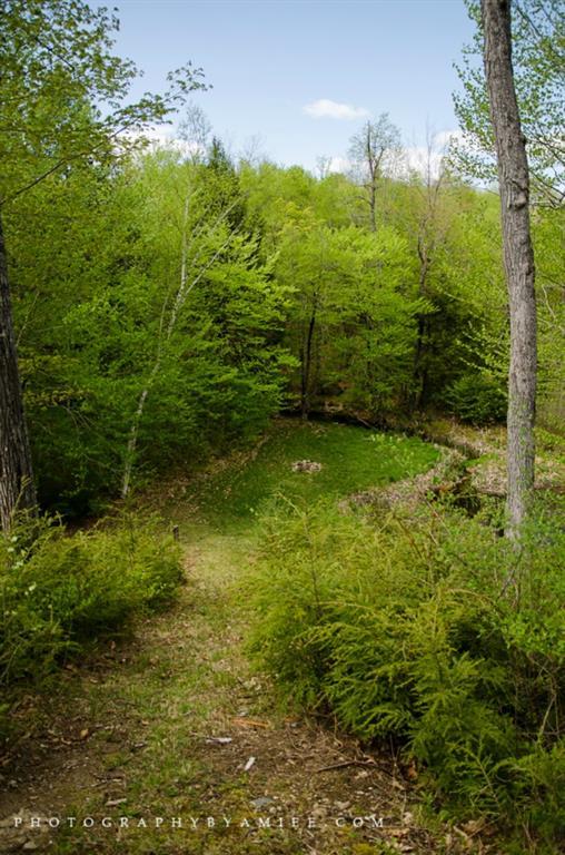361 Range Hill Road Poland, ME 04274 - Photo 4 of 34 Photo