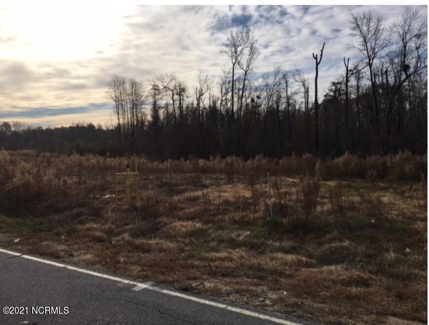 1535 5 Bridge Road Clinton, NC 28328 - Photo 3 of 19 Screen Shot 2021-12-01 at 9.39.04 AM