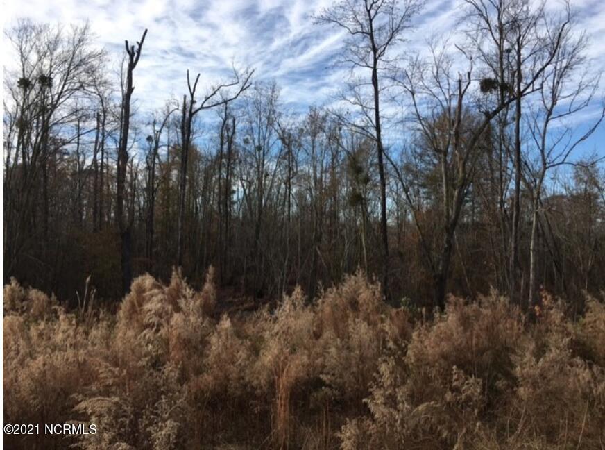 1535 5 Bridge Road Clinton, NC 28328 - Photo 4 of 19 Screen Shot 2021-12-01 at 9.39.33 AM