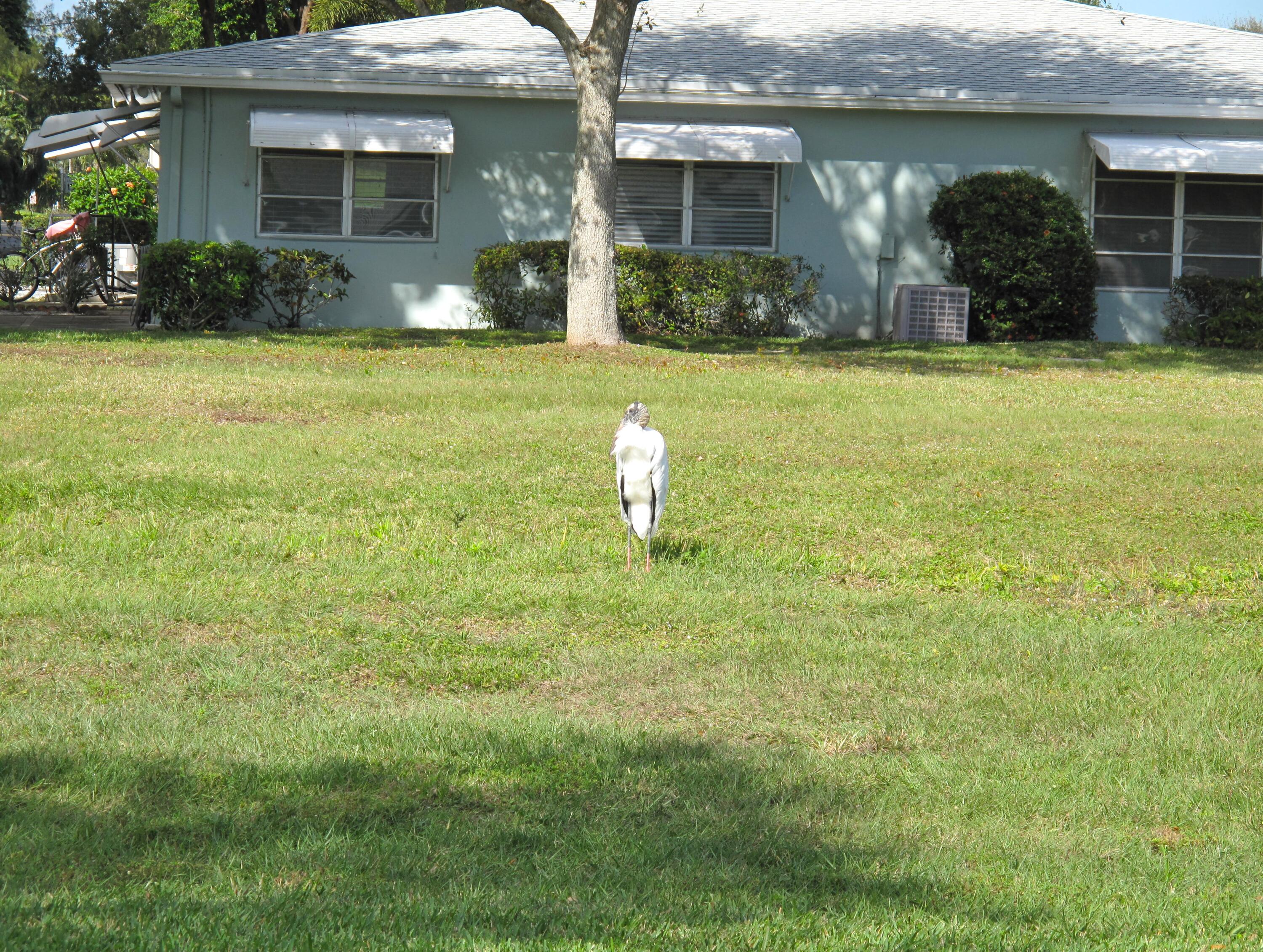 277 West High Point Court, Unit D Delray Beach, FL 33445 - Photo 29 of 47 IMG_7025
