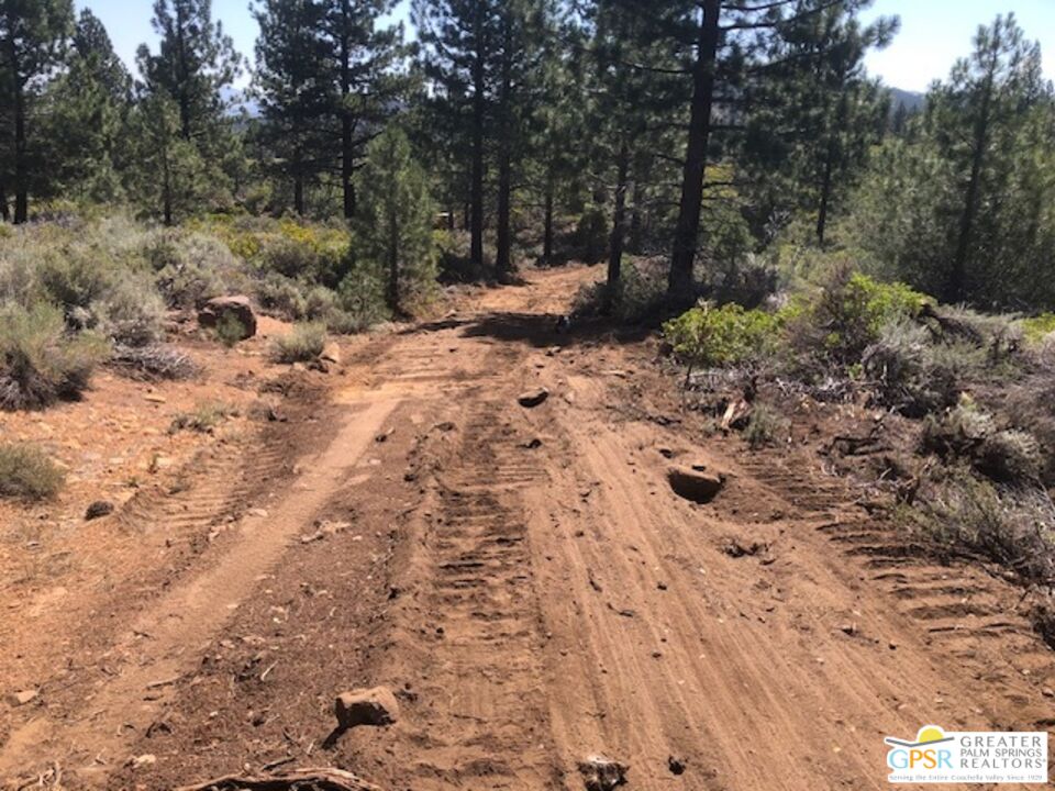 0 Ditch Road Markleeville, CA 96120 - Photo 10 of 24 Gallery Image 10