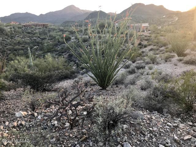 6762 West Sunset Road Tucson, AZ 85743 - Photo 3 of 10 Gallery Image 3