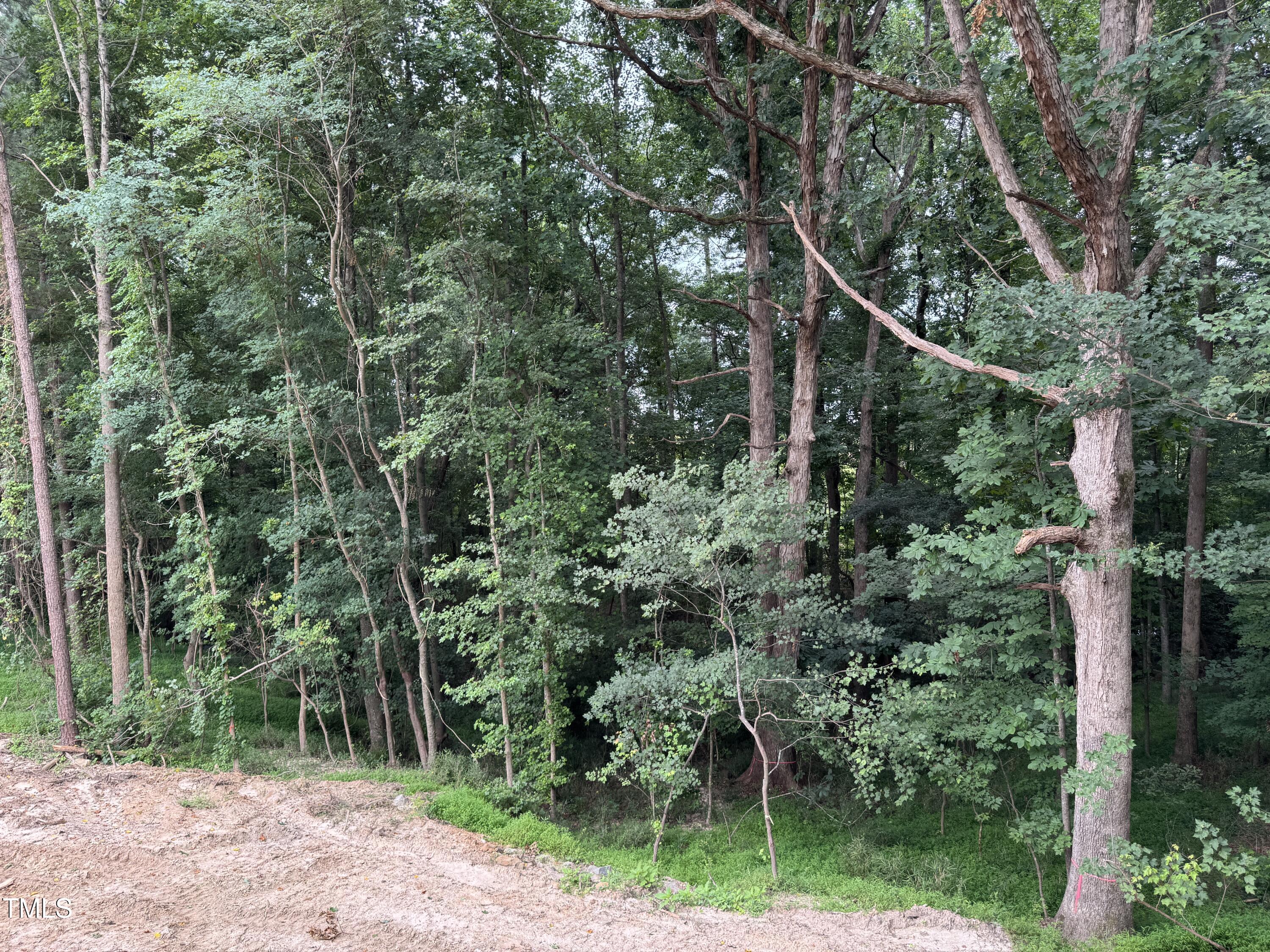 67 Sage Court Fuquay-Varina, NC 27526 - Photo 3 of 3