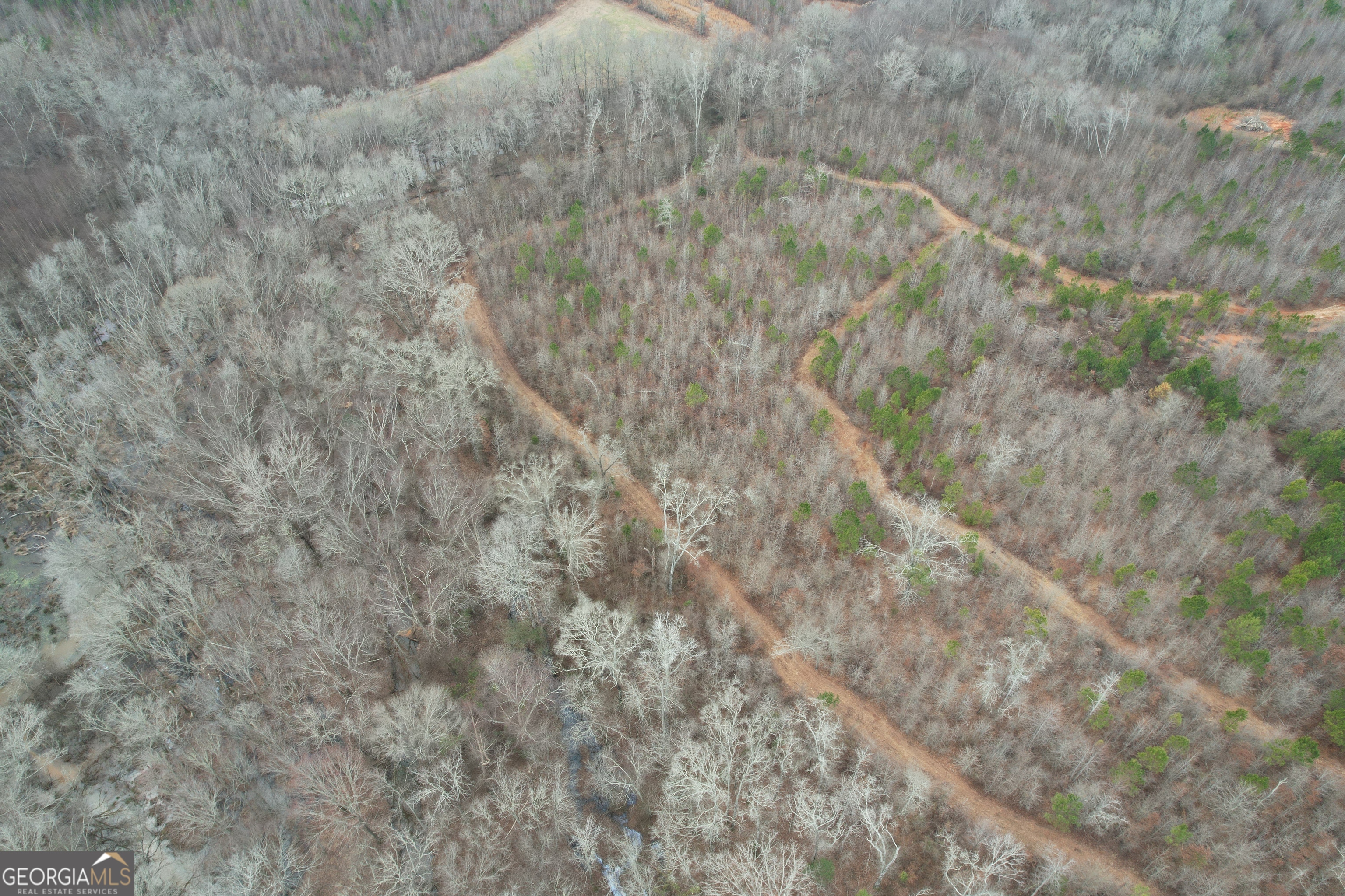 0 Glover Zebulon, GA 30295 - Photo 13 of 15 a close up of a wall with a dry yard