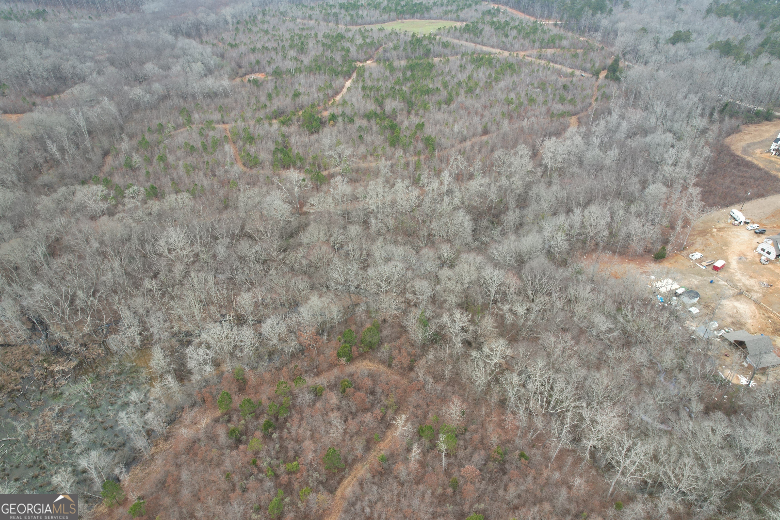 0 Glover Zebulon, GA 30295 - Photo 15 of 15 a view of a dry yard with trees