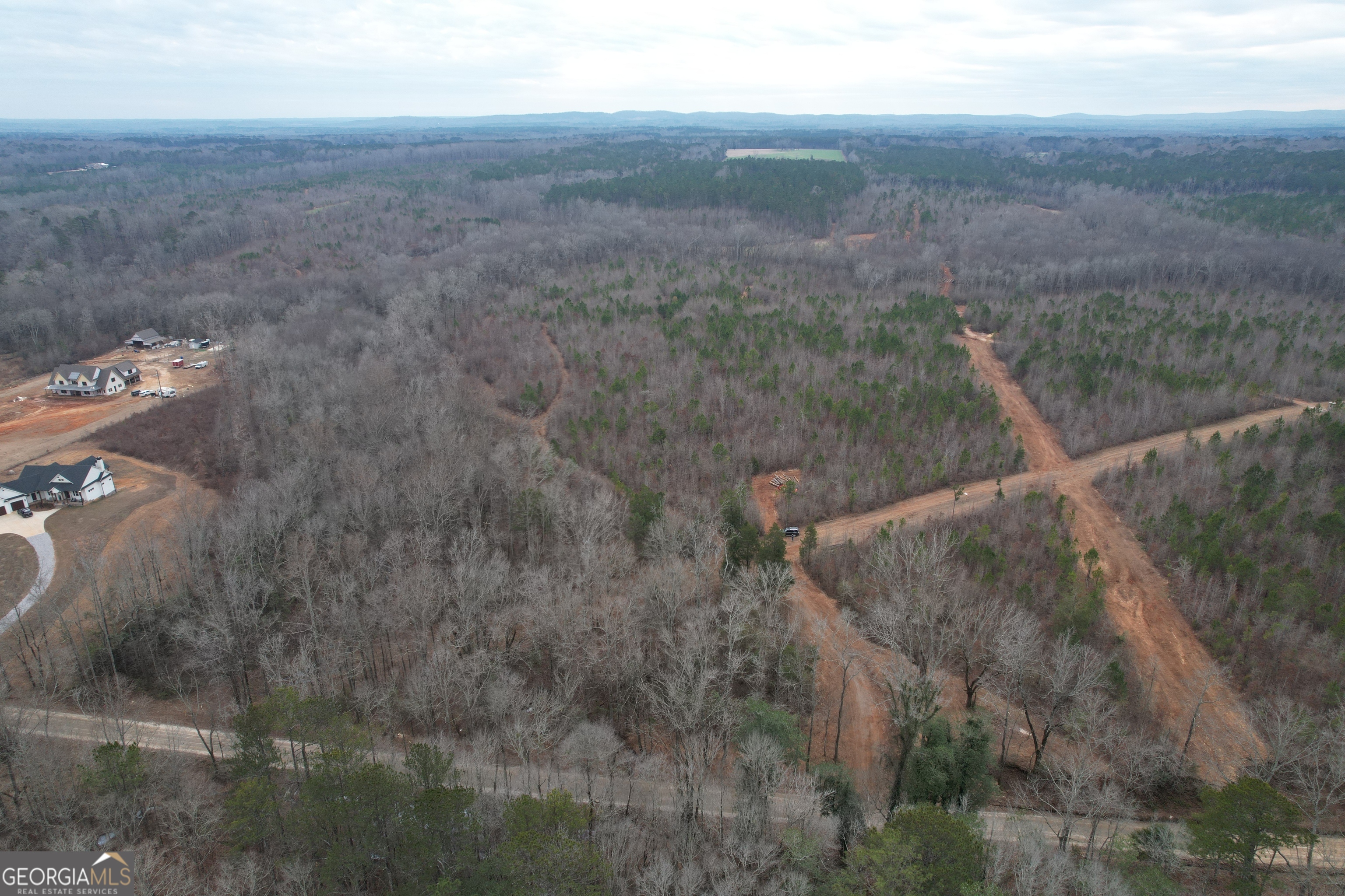 0 Glover Zebulon, GA 30295 - Photo 4 of 15 a view of a dry yard with green space and fog