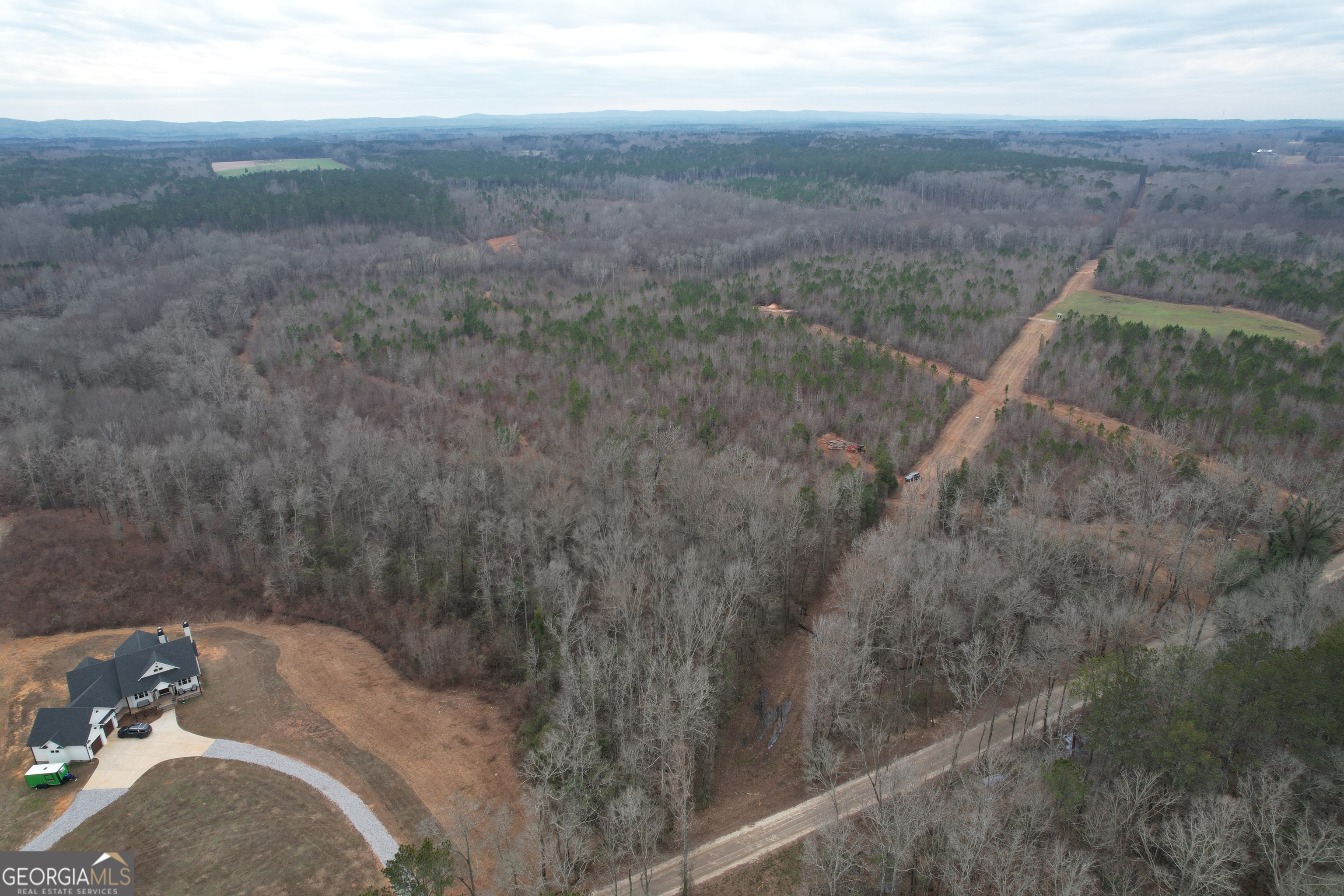 0 Glover Zebulon, GA 30295 - Photo 5 of 15 a view of a dry yard with a sink