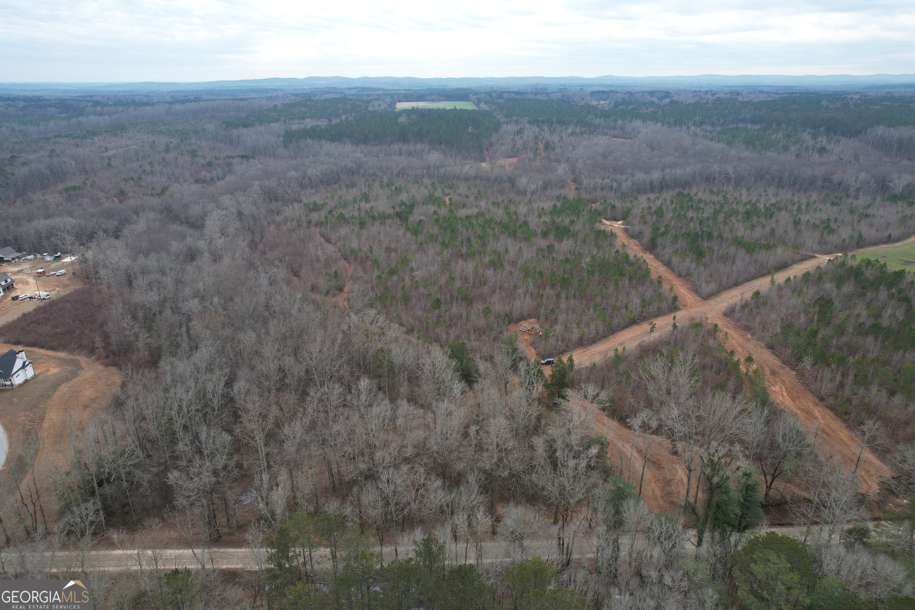 0 Glover Zebulon, GA 30295 - Photo 6 of 15 a view of a field