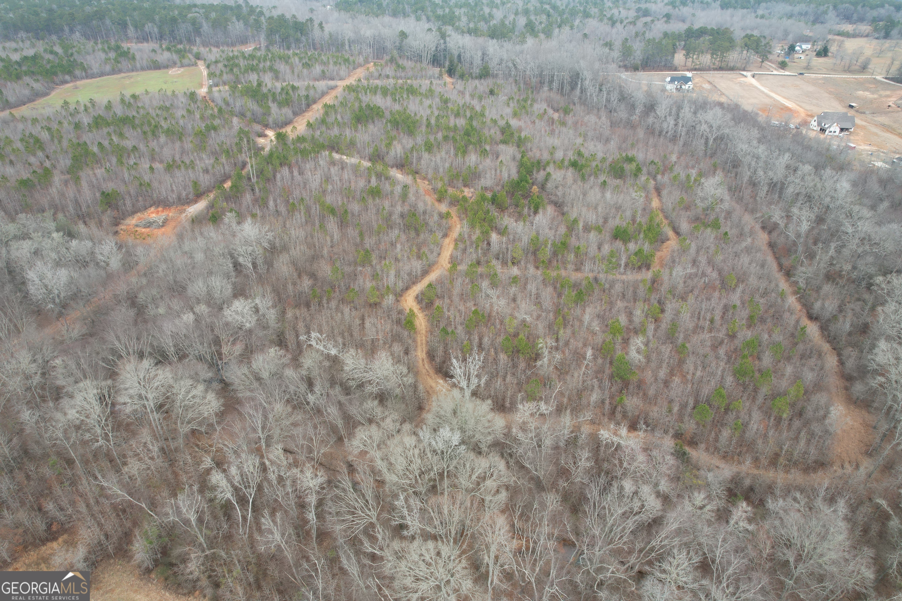 0 Glover Zebulon, GA 30295 - Photo 7 of 15 a close up of a plant