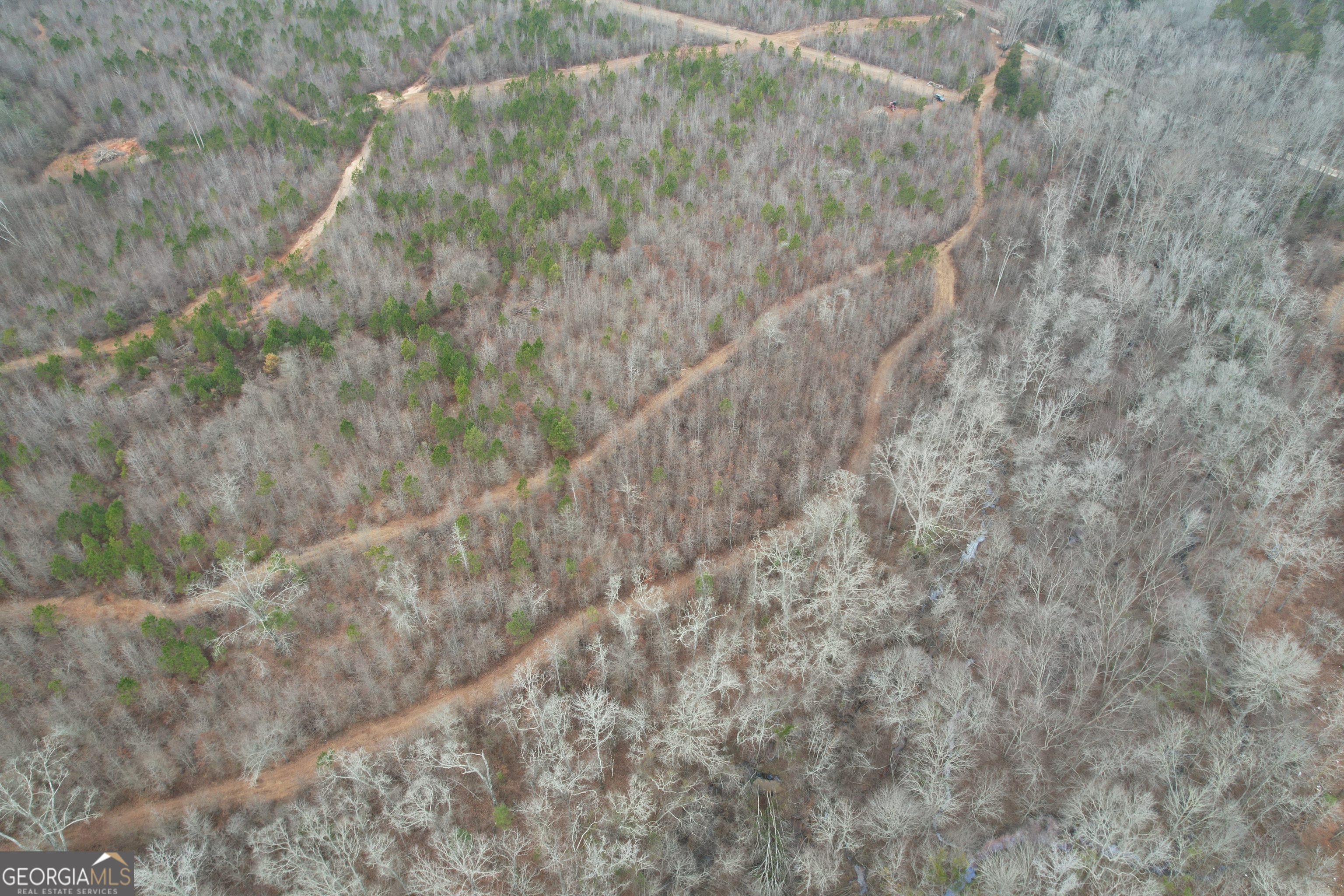 0 Glover Zebulon, GA 30295 - Photo 8 of 15 a view of a forest with large trees