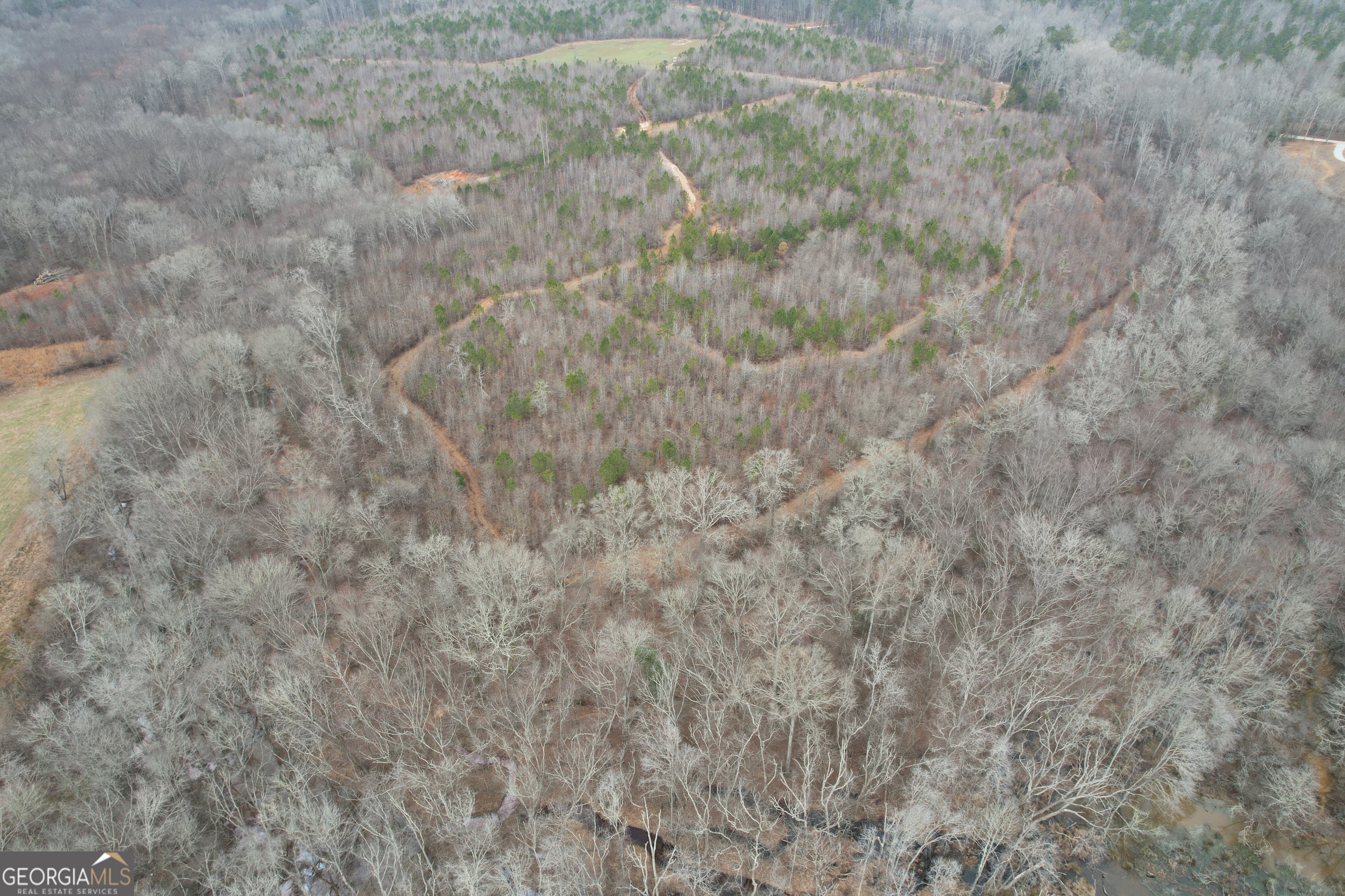 0 Glover Zebulon, GA 30295 - Photo 9 of 15 a view of a dry yard