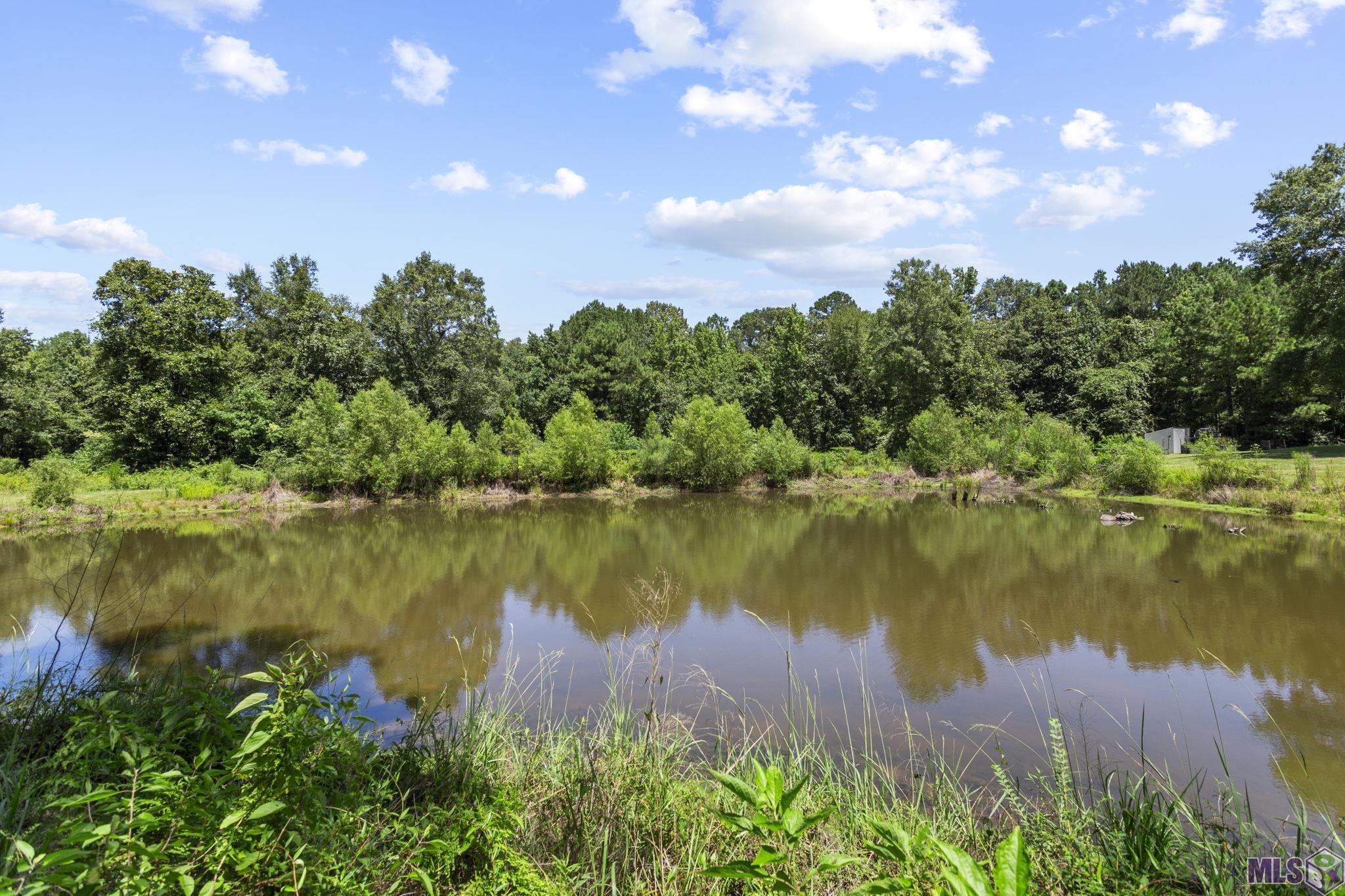 2613 Holly Ridge Road Jackson, LA 70748 - Photo 29 of 33