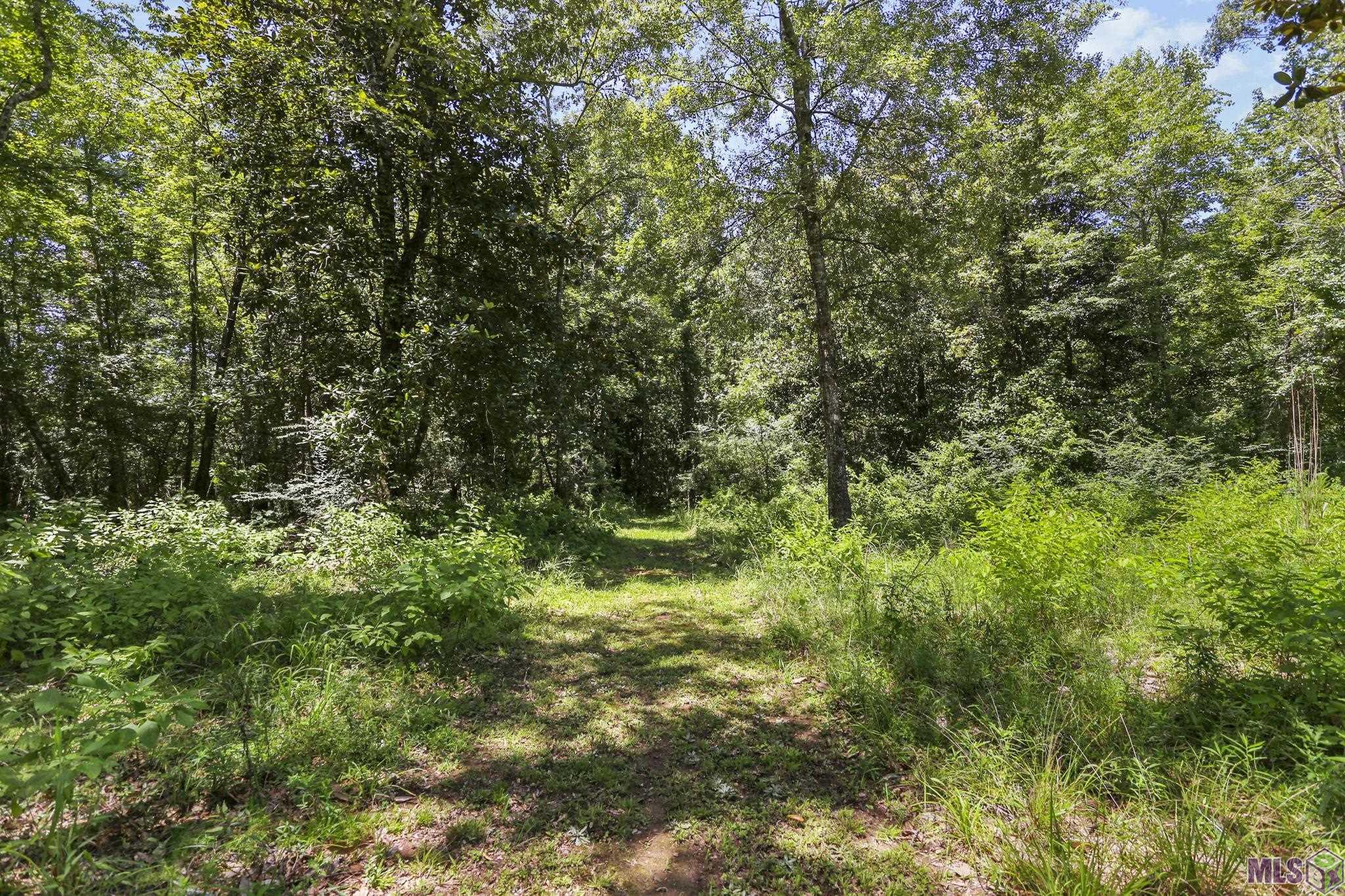 2613 Holly Ridge Road Jackson, LA 70748 - Photo 31 of 33