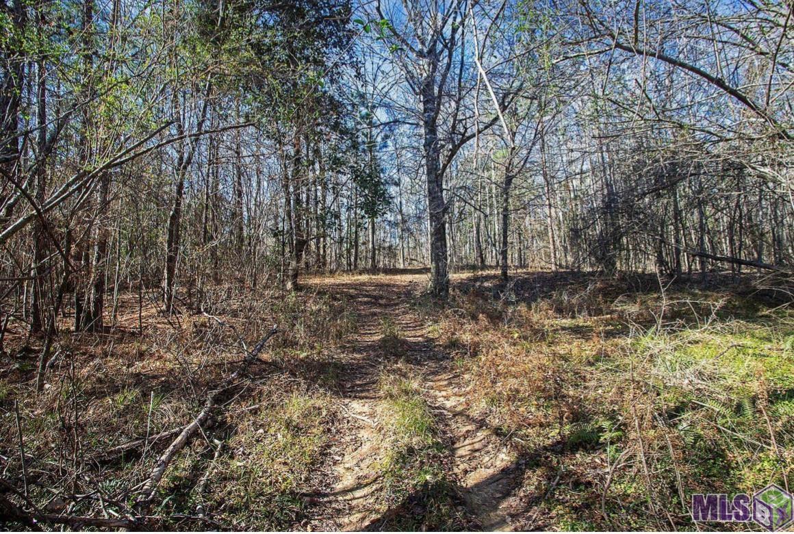 2613 Holly Ridge Road Jackson, LA 70748 - Photo 32 of 33